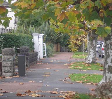  This photo was taken late autumn at the bus stop opposite the University of Auckland campus in Epsom.